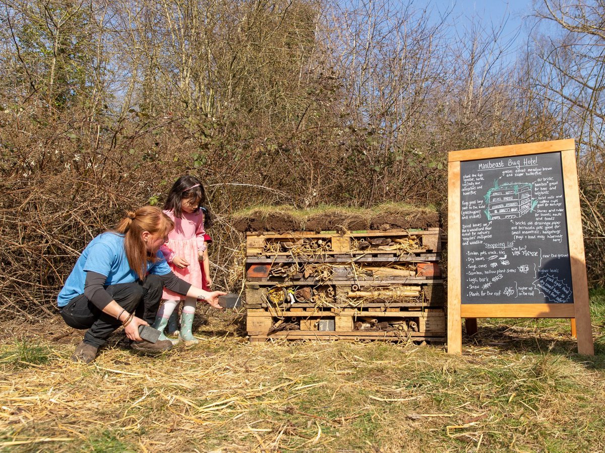 Adult and child building a bug hotel in a park