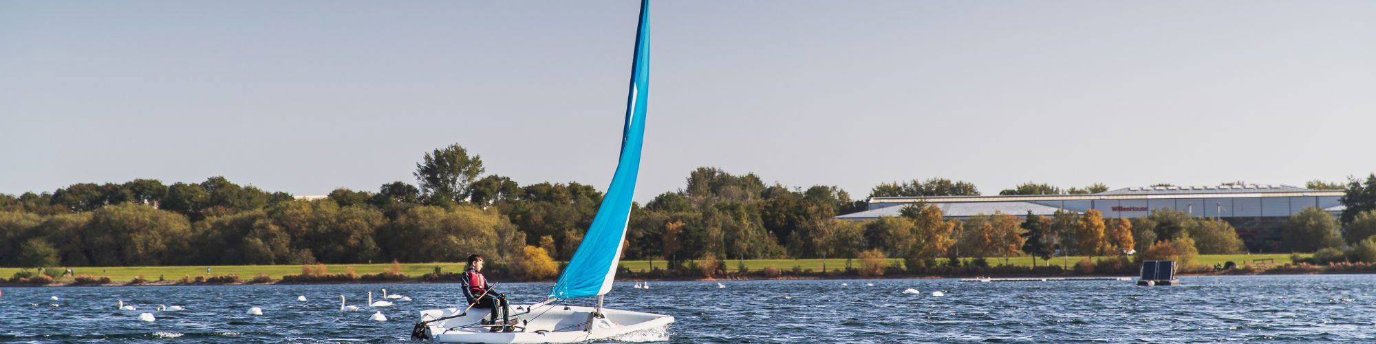 Person sailing on Willen Lake in Milton Keynes with swans