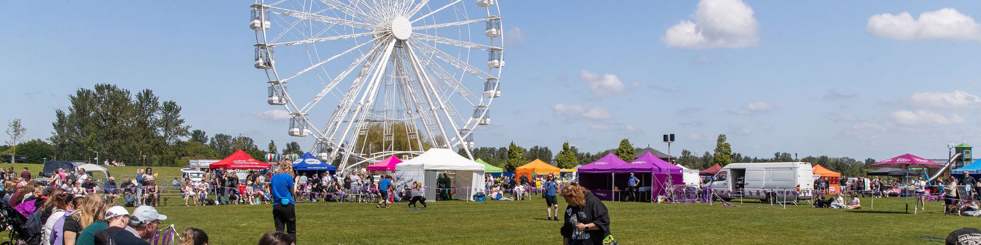 Crowd watching dog show with Willen Observation Wheel