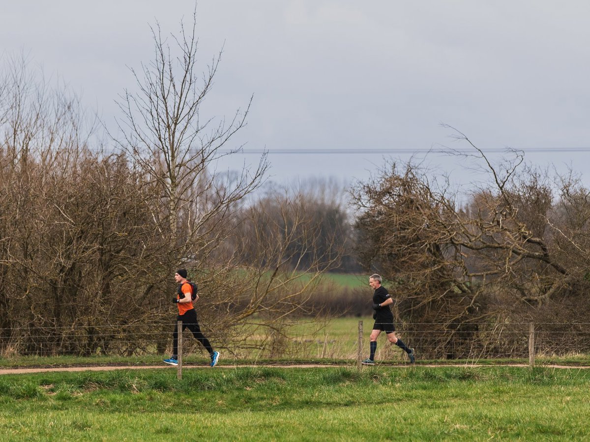 Three runners in the distance in a wintery parkland