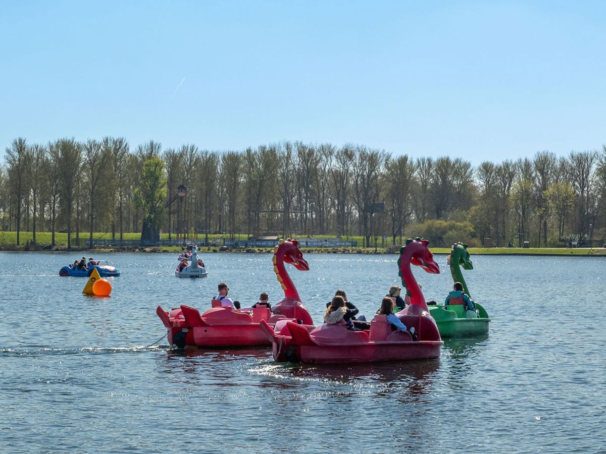 Dragon pedalos on Willen Lake with trees in the distance