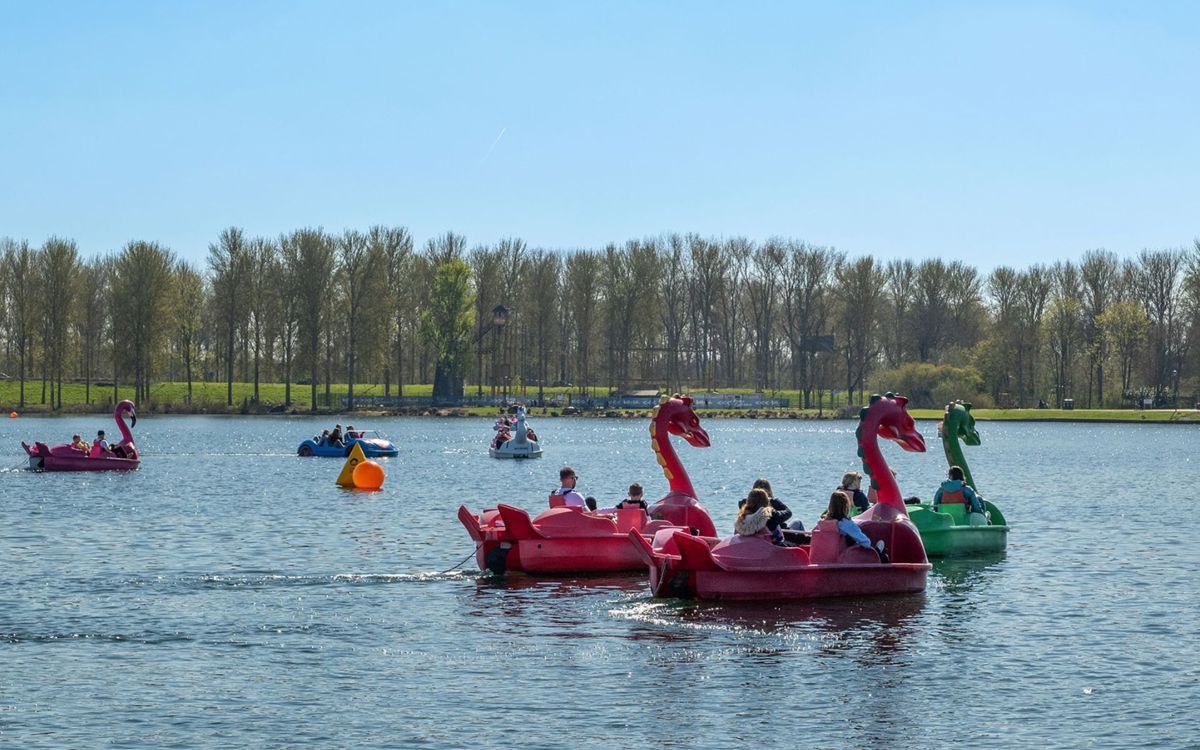 Dragon pedalos on Willen Lake with trees in the distance