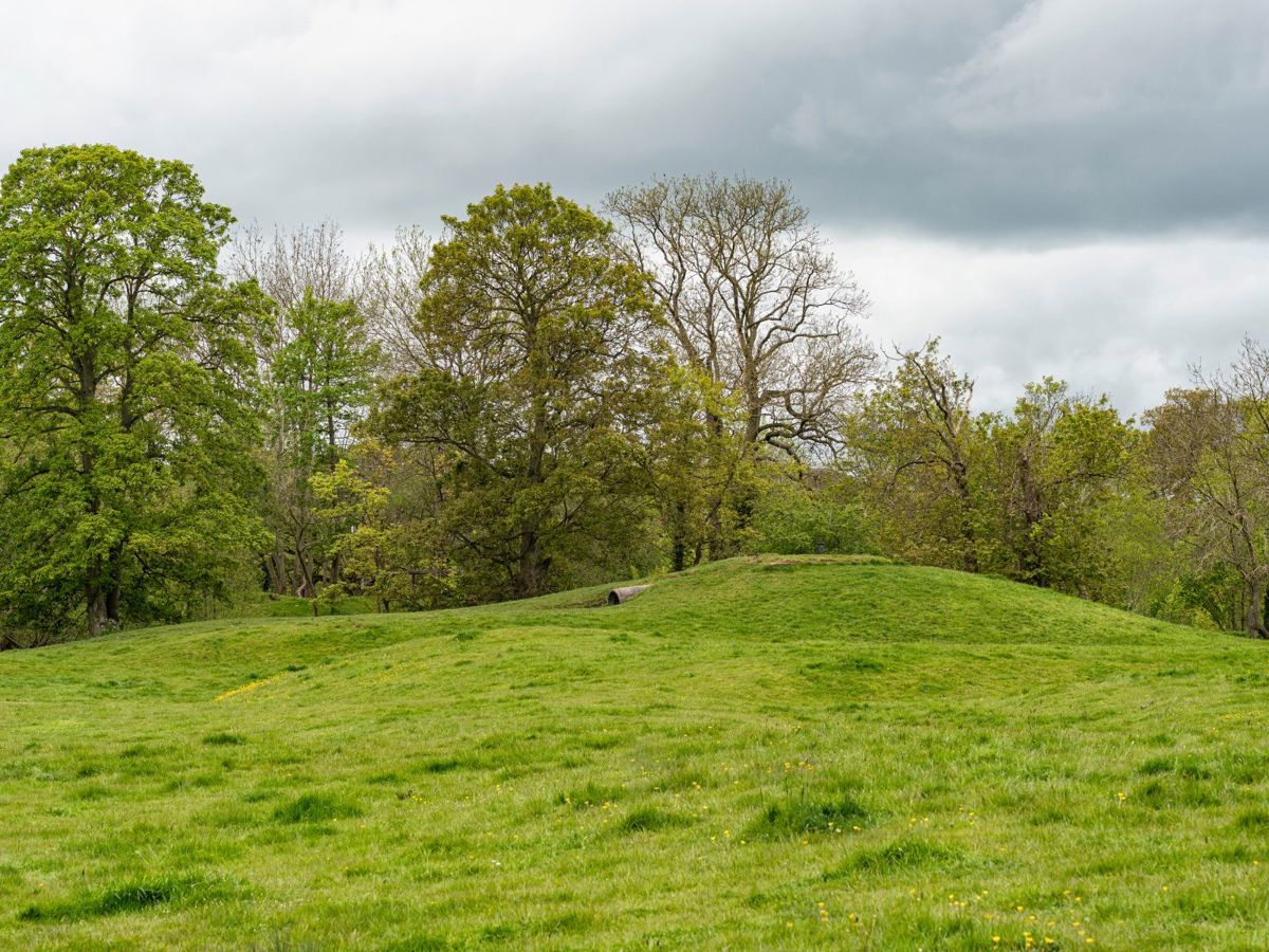 Grassy mound with trees behind