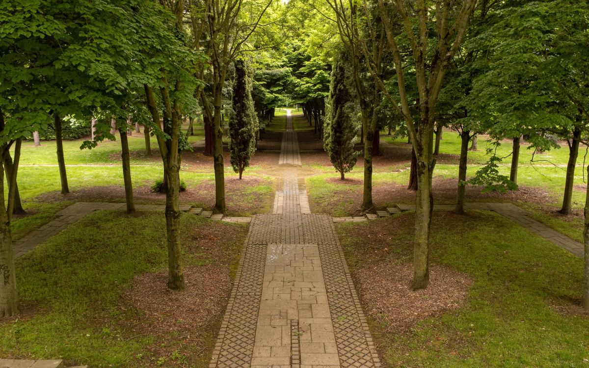 Drone view of the Tree Cathedral in Milton Keynes