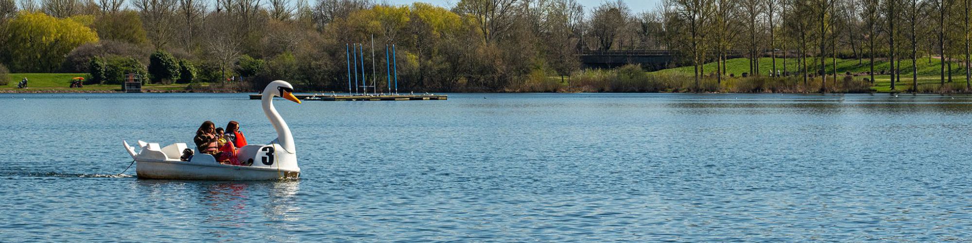 Swan pedalo on Willen Lake in Milton Keynes