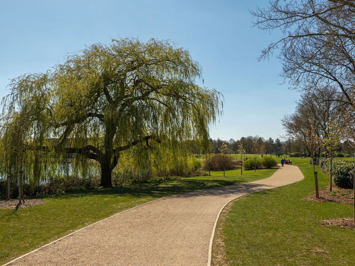 Accessible pathway around Willen Lake
