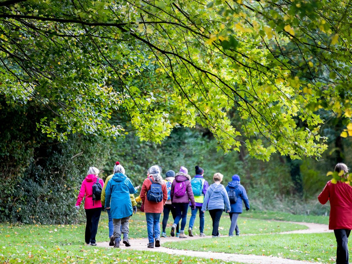 A group of women walking in a green parkland scene. 