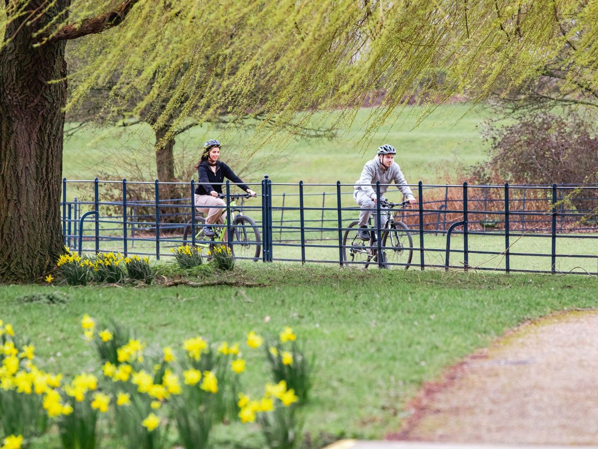 A springtime scene with cyclists in the background
