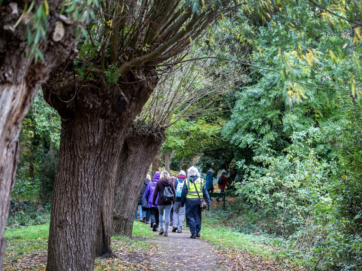 A group of women walking through parkland