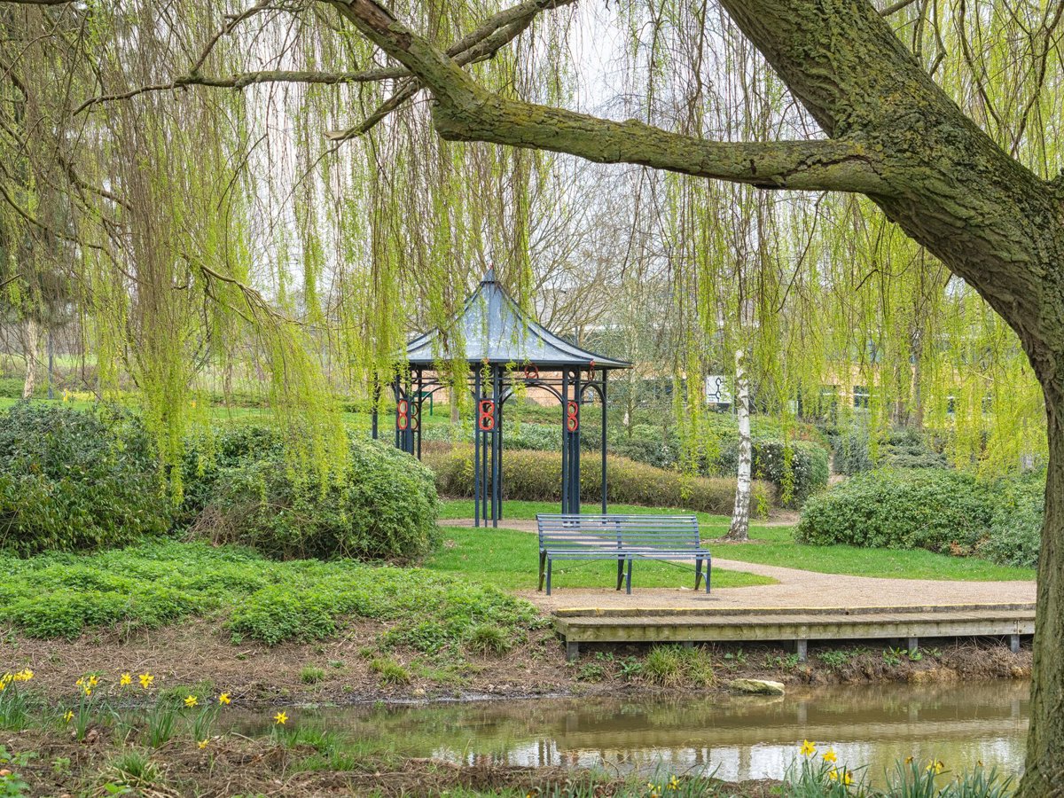 Band stand and bench next to a pond
